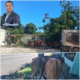 Alcalde Hamilton Nin advierte que aplicará sanciones a propietarios de animales realengos en Villa Central