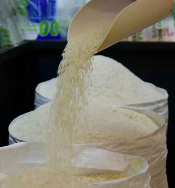 Colmaderos divididos ante llegada de arroz estadounidense