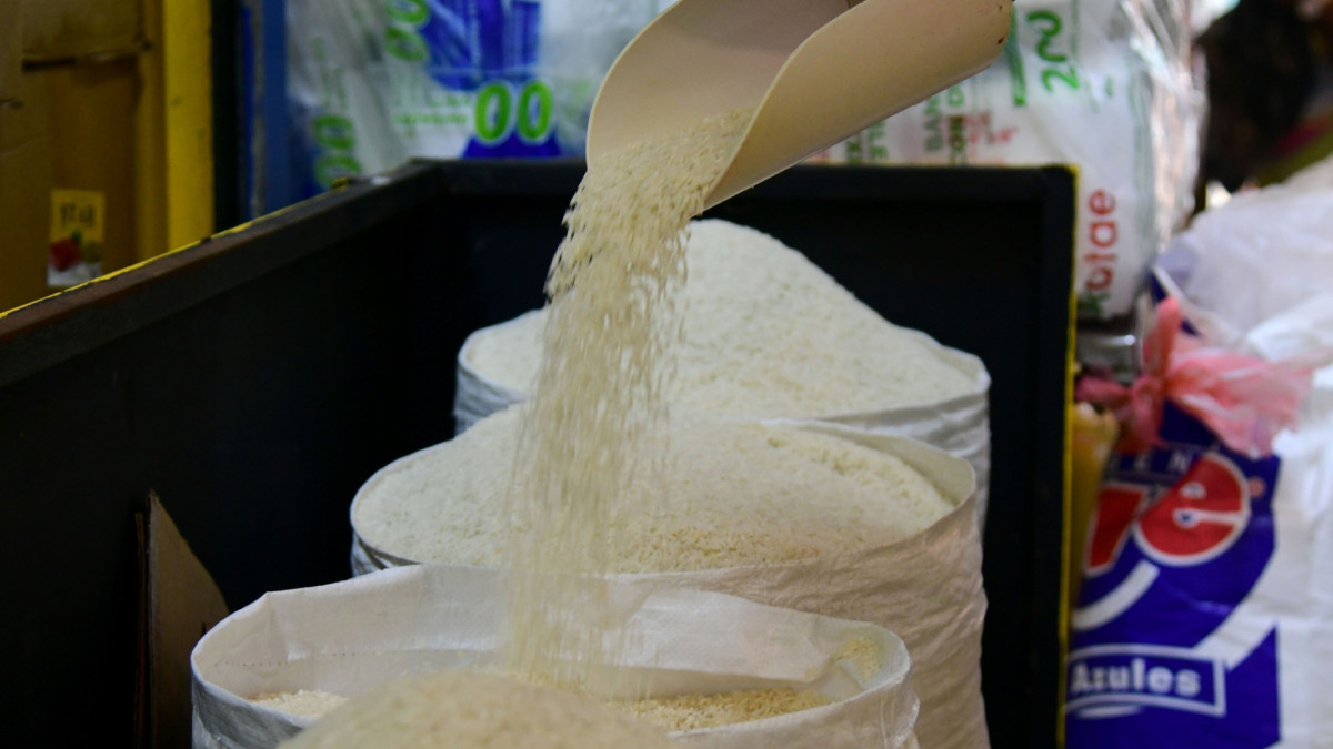 Colmaderos divididos ante llegada de arroz estadounidense