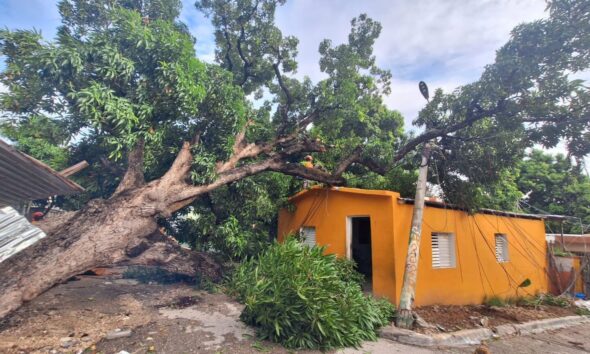 Daños ocasionados por las lluvias y caída de árboles en comunidades de Barahona.