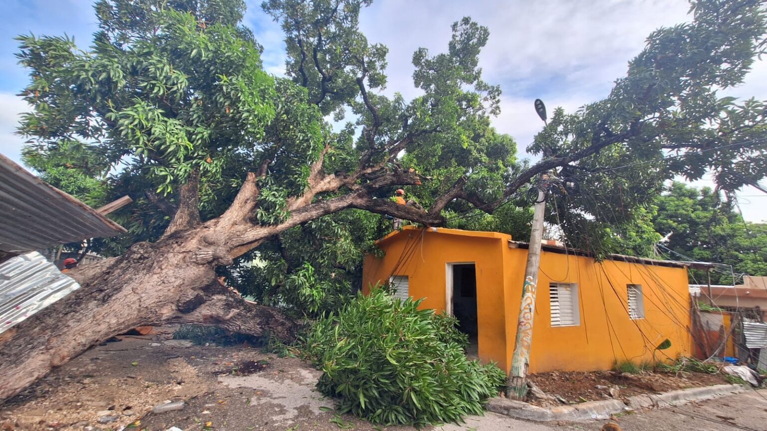 Daños ocasionados por las lluvias y caída de árboles en comunidades de Barahona.