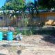 Paralizan docencia en liceo de Los Blancos por falta de almuerzo