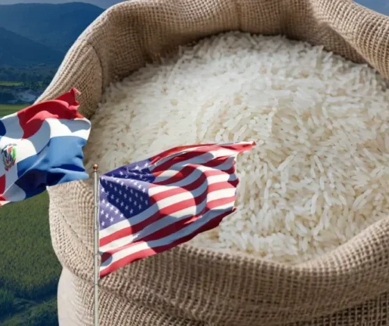 RD elimina arancel al arroz importado de los EEUU