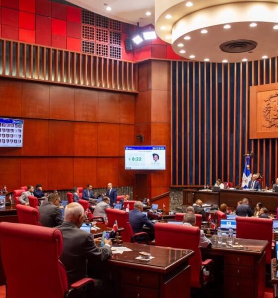 Senado aprueba de urgencia reformar varios artículos del Código Penal