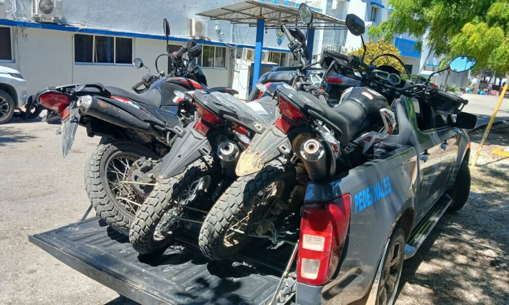 Tres motocicletas marca Loncin recuperadas por la Policía Nacional durante un allanamiento en Pedernales.